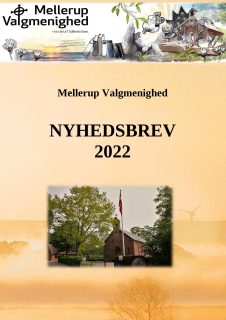 Nyhedsbrev 1